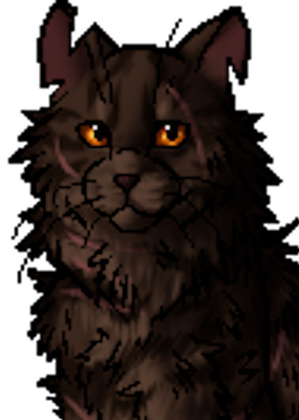Brokenstar (Warrior Cats) photo