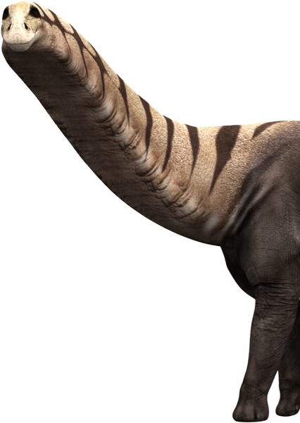 Brontosaurus photo