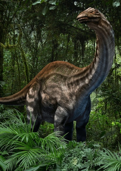 Brontosaurus photo