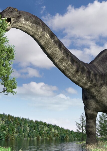 Brontosaurus photo