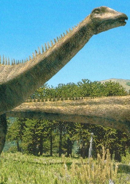 Brontosaurus photo