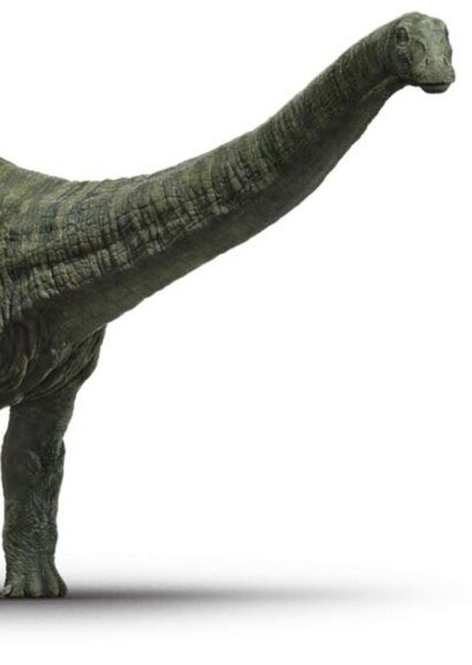 Brontosaurus photo