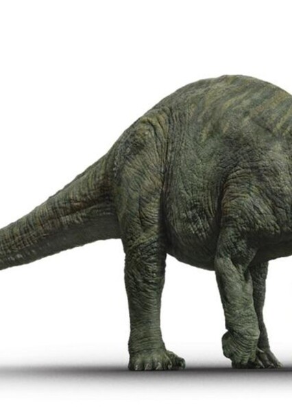 Brontosaurus photo