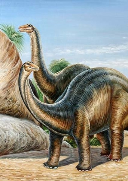 Brontosaurus photo