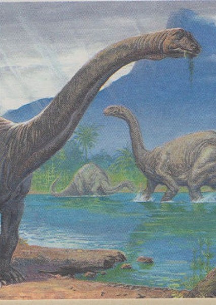 Brontosaurus photo