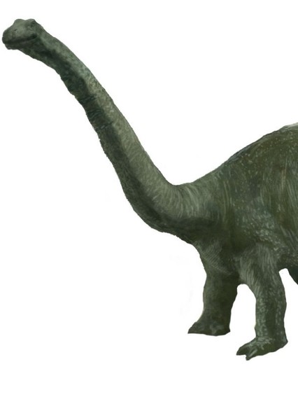Brontosaurus photo