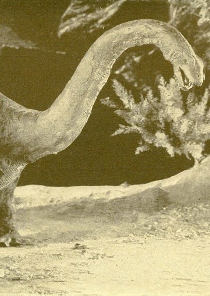 Brontosaurus photo