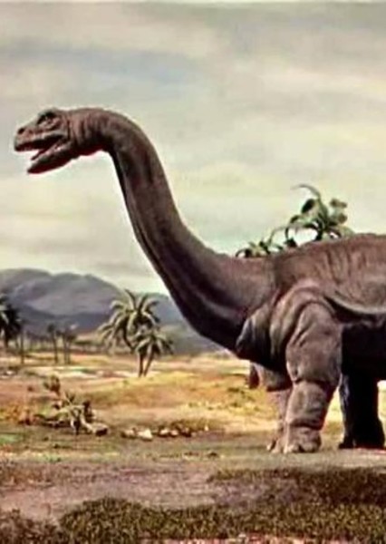 Brontosaurus photo