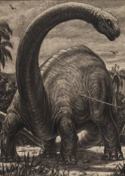 Brontosaurus photo