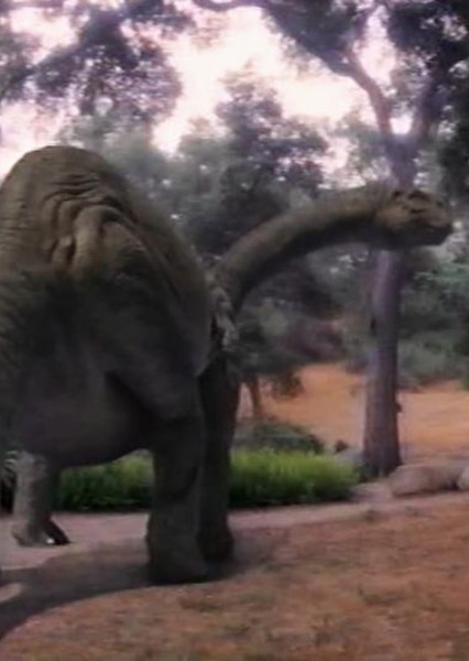 Brontosaurus photo
