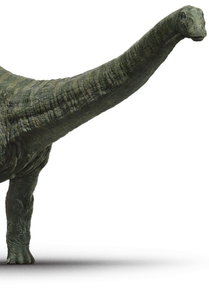 Brontosaurus photo