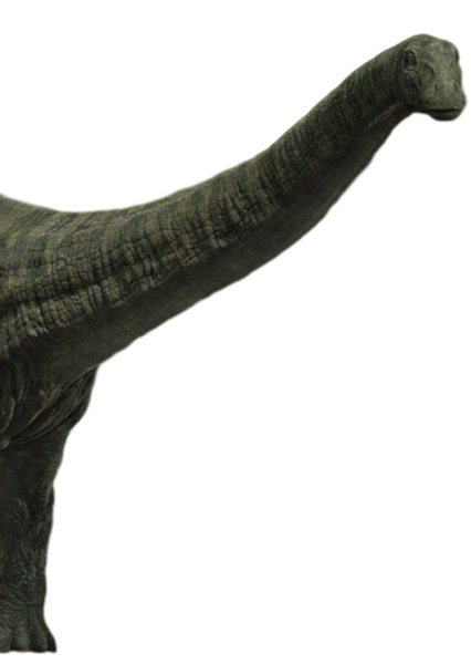 Brontosaurus photo