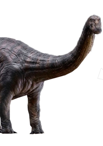 Brontosaurus photo