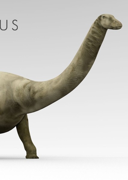Brontosaurus photo