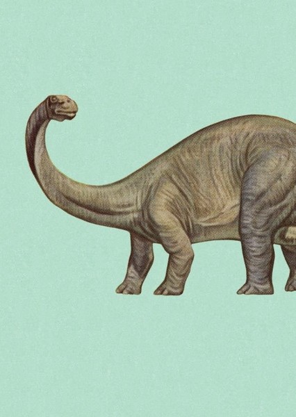 Brontosaurus photo