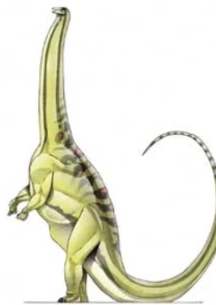 Brontosaurus photo