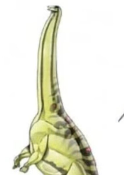 Brontosaurus (Jurassic Park Institute)
