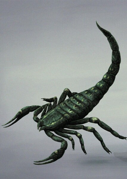 Brontoscorpio photo