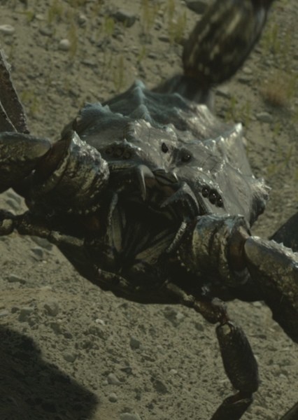 Brontoscorpio photo