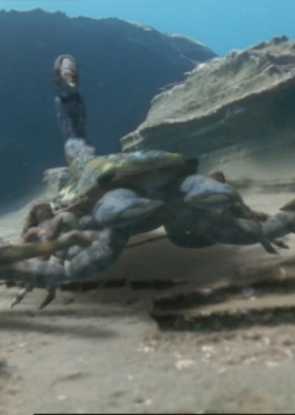 Brontoscorpio photo