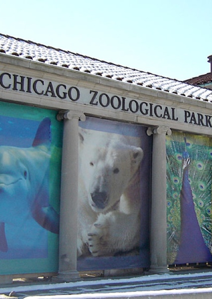 Brookfield Zoo Chicago photo