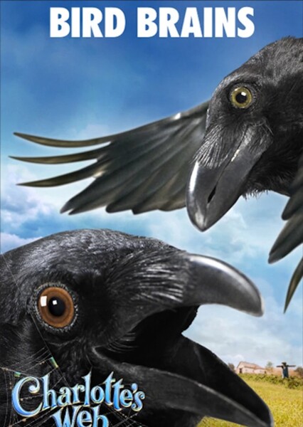 Brooks the Crow (Charlotte's Web 2006) photo
