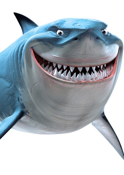 Bruce (Finding Nemo) photo