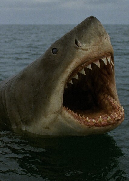Bruce (Jaws 1995)