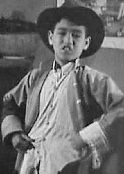 Bruce Lee photo