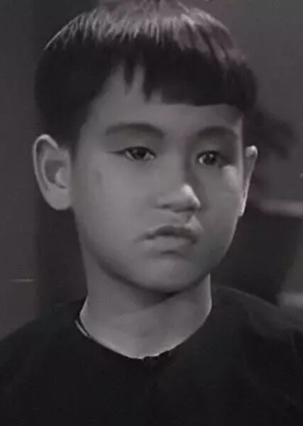 Bruce Lee photo