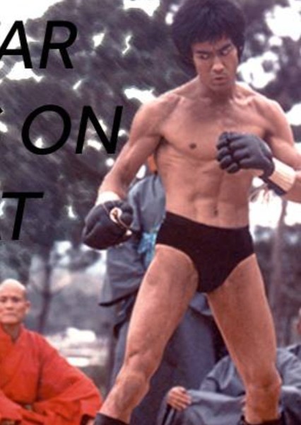 Bruce Lee photo