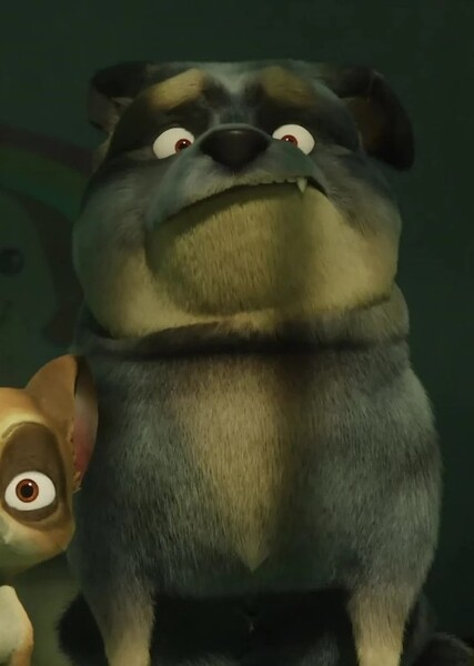 Bruno (100% Wolf) photo