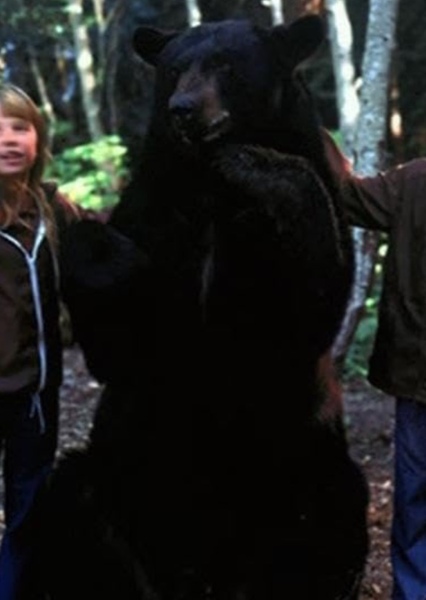 Bruno the Bear photo