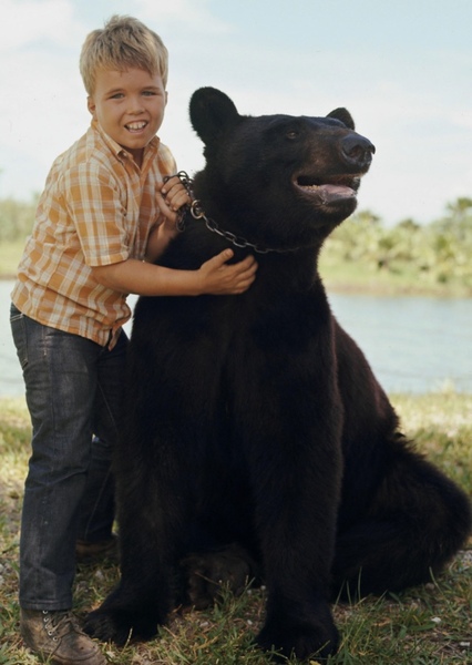 Bruno the Bear photo