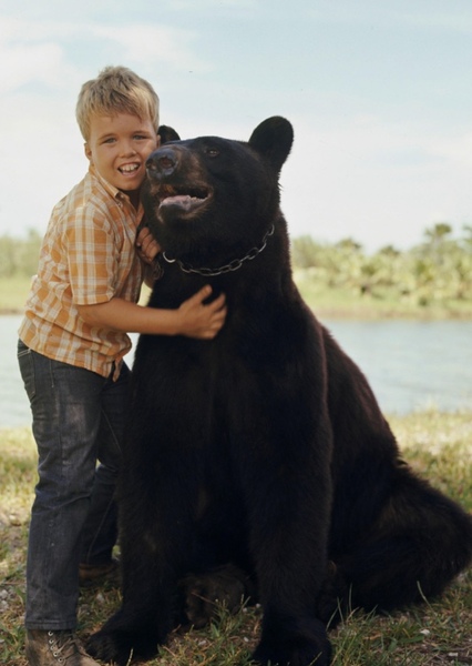 Bruno the Bear photo
