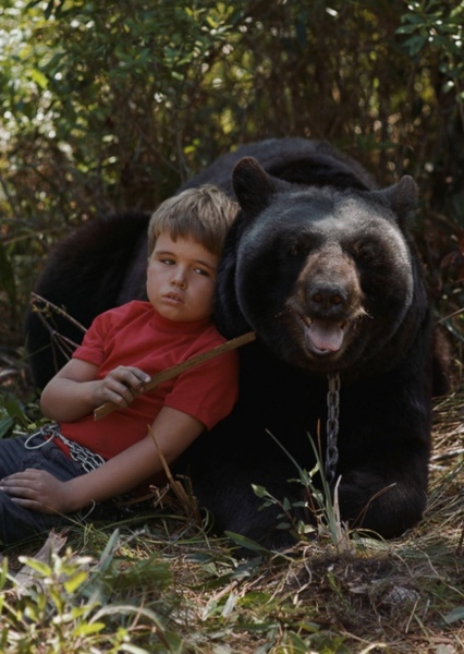 Bruno the Bear photo