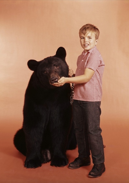 Bruno the Bear photo