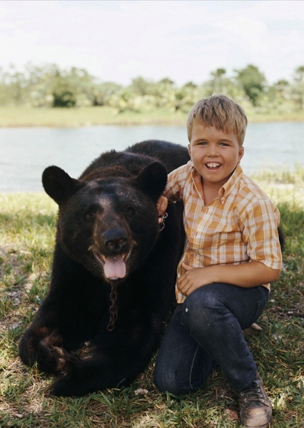 Bruno the Bear photo