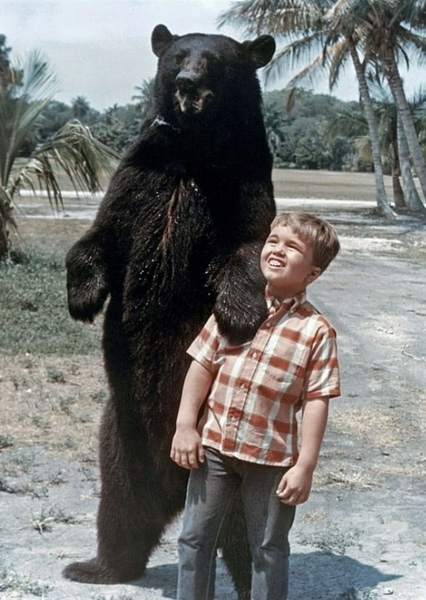 Bruno the Bear photo
