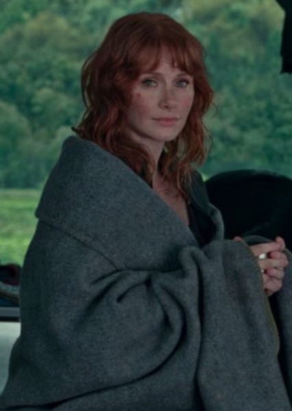 Bryce Dallas Howard photo