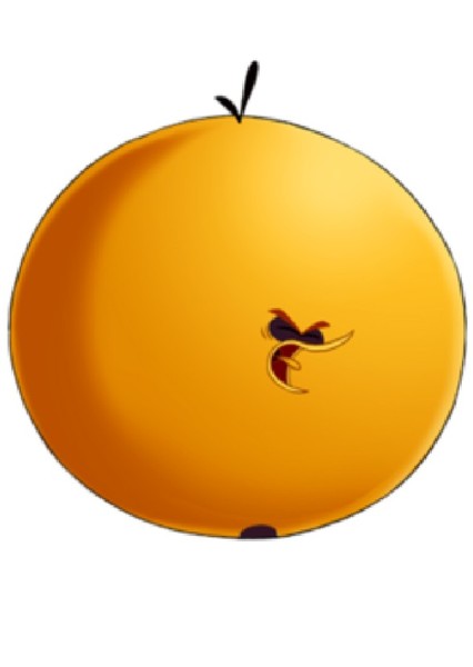 Bubbles (Orange Globe Bird) photo