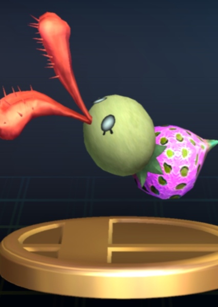 Bucculus