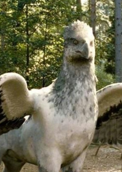 Buckbeak
