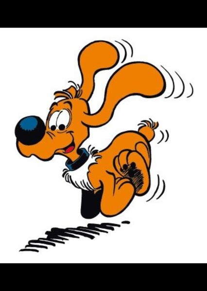 Buddy the Dog