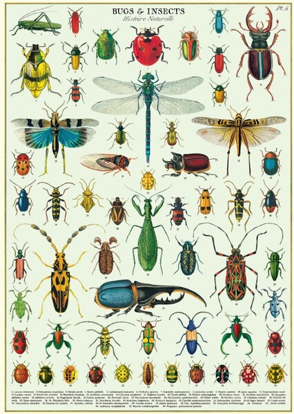 Bugs