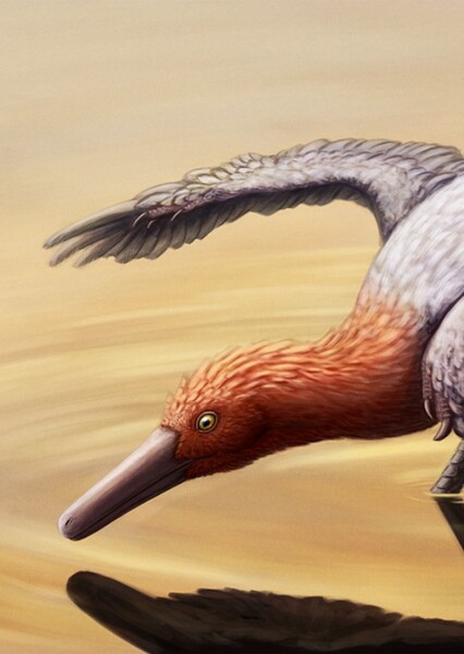Buitreraptor photo