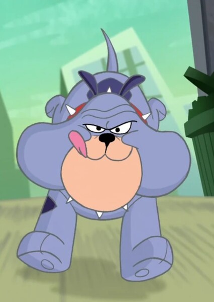 Bull Dog photo