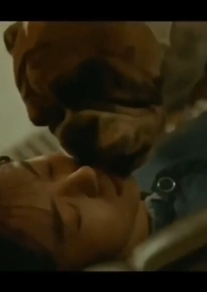 Bulldog licking Kang Ha-ram
