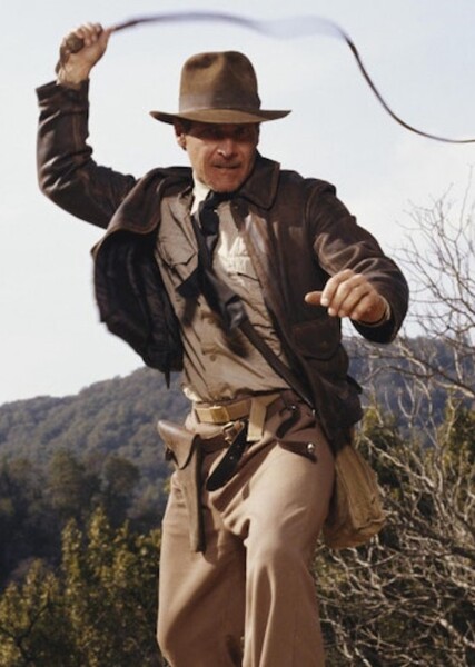 Bullwhip photo