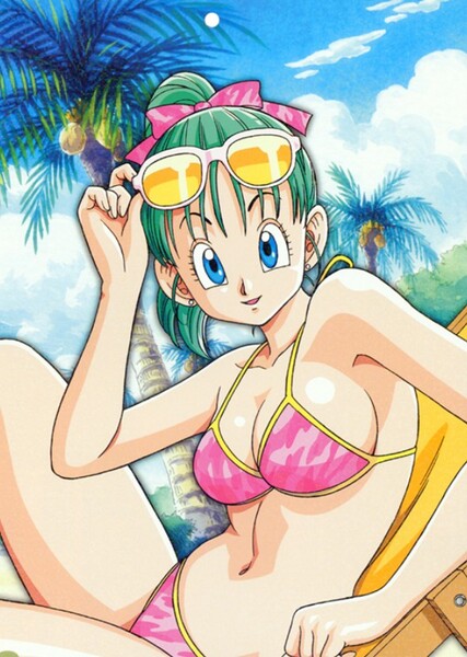Bulma photo